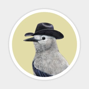 Clark's nutcracker Magnet